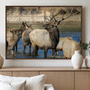 Wild Elk Wall Art Canvas Print – Framed Neutral Wildlife by MyGreatCanvas | Canvas Wall Art Prints | Photo Prints & Wall Decor