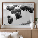Buffalo Herd Wall Art Canvas Print – Framed Black and White by MyGreatCanvas | Canvas Wall Art Prints | Photo Prints & Wall Decor