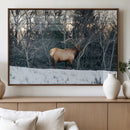 Wild Elk Wall Art Canvas Print – Framed Winter Wildlife by MyGreatCanvas | Canvas Wall Art Prints | Photo Prints & Wall Decor