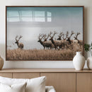 Elk Herd Wall Art Canvas Print – Framed Wildlife Photography