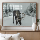 Moose Snow Wall Art Canvas Print – Framed Winter Wildlife