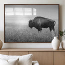 Black White Bison Canvas Wall Art, Rustic American Buffalo by MyGreatCanvas | Canvas Wall Art Prints | Photo Prints & Wall Decor