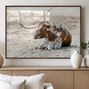 Majestic Longhorn Wall Art Canvas Print – Resting on Sunlit by MyGreatCanvas | Canvas Wall Art Prints | Photo Prints & Wall Decor