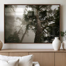 Misty Forest Canvas, Tall Trees Foggy Atmosphere Nature by MyGreatCanvas | Canvas Wall Art Prints | Photo Prints & Wall Decor