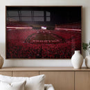 Dooley Stadium Wall Art, Sports Arena Canvas Print, Dooley by MyGreatCanvas | Canvas Wall Art Prints | Photo Prints & Wall Decor