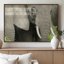 Wild Elephant Wall Art Canvas Print by MyGreatCanvas | Canvas Wall Art Prints | Photo Prints & Wall Decor