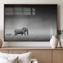 Elephand and Zebra Wall Art Canvas Print, Modern Artwork