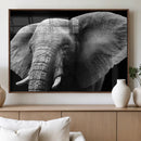 Big Elephant Close Up Wall Art Canvas Print