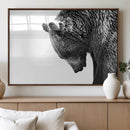 Black and White Grizzly 399 Bear Canvas Print Wall Art | by MyGreatCanvas | Canvas Wall Art Prints | Photo Prints & Wall Decor