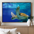 Sea Turtle Wall Art Canvas Print, Sea life in the Ocean Wall