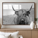 Newfoundland Cow Art Wall Art, Black White Cow Art Wall Art
