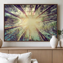 Tree and Sunshine Canvas Print