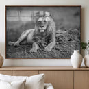 King Forest Lion Wall Art Canvas Print – Framed Majestic by MyGreatCanvas | Canvas Wall Art Prints | Photo Prints & Wall Decor