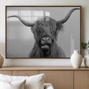 Texas Cow Wall Art Canvas, Texas Longhorn Cattle Canvas by MyGreatCanvas | Canvas Wall Art Prints | Photo Prints & Wall Decor