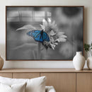 Blue Butterfly Black and White Canvas Wall Art by MyGreatCanvas | Canvas Wall Art Prints | Photo Prints & Wall Decor