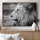 Lion Wall Art Canvas Print – Framed Majestic Wildlife by MyGreatCanvas | Canvas Wall Art Prints | Photo Prints & Wall Decor