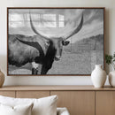 Cattle Wall Art Longhorn Cow Canvas Print