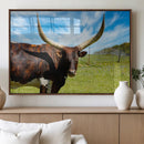 Longhorn and Cow Wall Art, Country Cow Wall Decor Canvas by MyGreatCanvas | Canvas Wall Art Prints | Photo Prints & Wall Decor