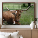 Longhorn Cow Animal Wall Art Canvas Print by MyGreatCanvas | Canvas Wall Art Prints | Photo Prints & Wall Decor
