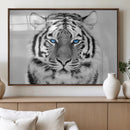 Black and White Tiger Wall Art Animal Canvas Print