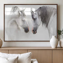White Horse Wall Art Animal Canvas Print
