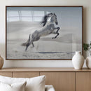 Prancing Horse Desert Large Wall Art Canvas Print – Majestic