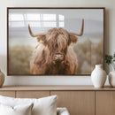 Scottish Serene Highland Cow Canvas Wall Art – Serene