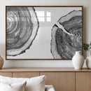 Abstract Large Tree Rings – Minimalist Black and White Wood
