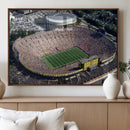 Michigan Wolverines Football Team Print - Ann Arbor Michigan
