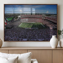 South Carolina Gamecocks Football Team Print - Columbia