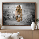 Jaguar Wall Art Canvas Print - Majestic Big Cat in Focused by MyGreatCanvas | Canvas Wall Art Prints | Photo Prints & Wall Decor