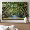 Wormsloe State Plantation Driveway Wall Art Canvas Print