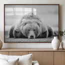 Resting Grizzly Bear Wall Art Canvas Print – Majestic Lazy by MyGreatCanvas | Canvas Wall Art Prints | Photo Prints & Wall Decor