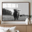 Black and White Highland Cow Wall Art Canvas Print | Rustic by MyGreatCanvas | Canvas Wall Art Prints | Photo Prints & Wall Decor