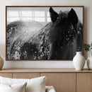 Black Horse in Snow Canvas Print | Winter Horse Wall Art |