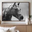 Horse Canvas Print - Winter Horse Snow Wall Art Canvas Print