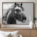 Winter Horse Canvas Print | Large 3-Panel Black White Equine