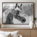 Black Horse Winter Wall Art | Ready to Hang and Framed |