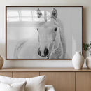 Majestic White Horse Wall Art | Ready to Hang and Framed |