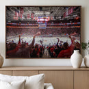 Carolina Hurricanes Ice Hockey Stadium Wall Art, Carolina