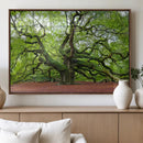 Framed Angel Oak Tree Wall Art - 3-Panel Canvas Prints,