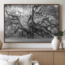 Black White Angel Oak Tree Wall Art - Timeless