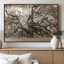 Sepia Framed Angel Oak Tree Wall Art - 3-Panel Canvas