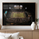 Wake Forest University Demon Deacons Canvas Printi, Football