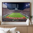 Wolfpack Football Team Print - Raleigh Carter-Finley Stadium