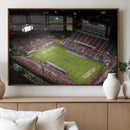 Florida Atlantic University Owls Canvas Print, Football Team by MyGreatCanvas | Canvas Wall Art Prints | Photo Prints & Wall Decor