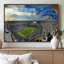 Framed USF Bulls Football Team Print - Tampa Raymond James by MyGreatCanvas | Canvas Wall Art Prints | Photo Prints & Wall Decor