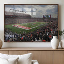 Rutgers Scarlet Knights Football Team Print - SHI Stadium,