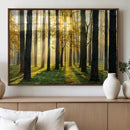 Sunlit Forest Wall Art Canvas Print – Large Framed Woodland