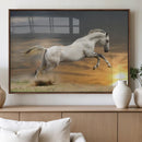 Large Wall Art Canvas Print – White Jumping Horse Sunset